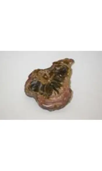 ElixirBois Silicifié