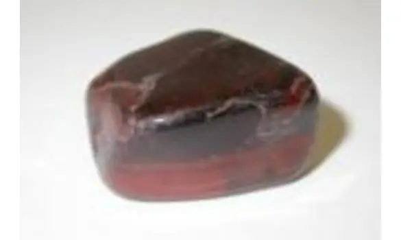 Elixir Oeil de Taureau