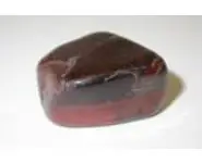 Elixir Oeil de Taureau