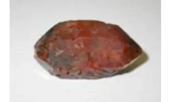 Elixir Quartz St Jacques de Compostelle