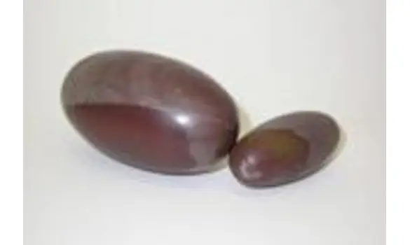 Elixir Shiva Lingam