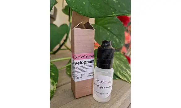 Développement - Elixir minéral