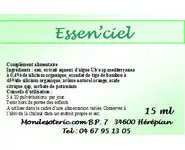 Zingiber Officinalis