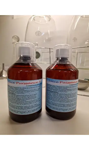 Silice Puissance 3 (par 2 flacons)